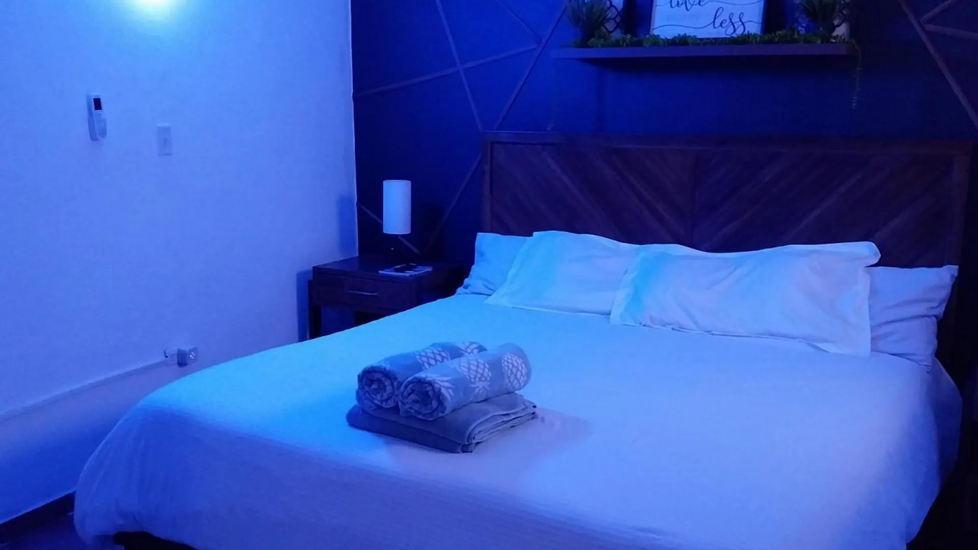 Deluxe Lodge In San Juan Puerto Rico